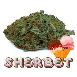 Sherbet