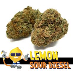 Lemon Sour Diesel