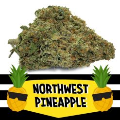 Northwest Pineapple
